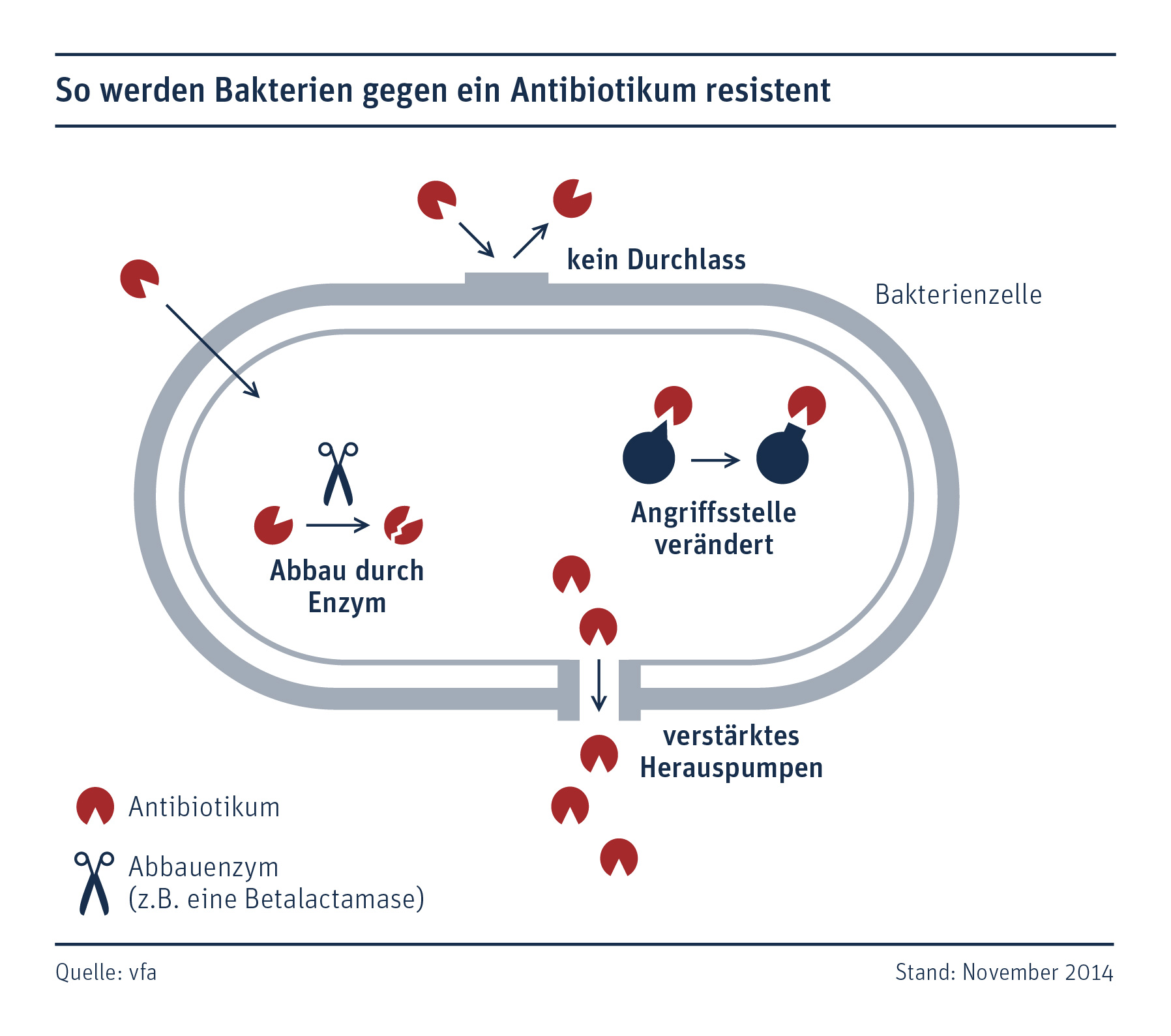Informationen und Positionen des vfa zu Antibiotika zum Download